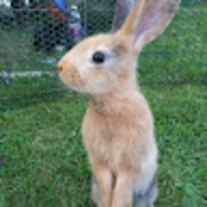 Meet your Posher, Mary